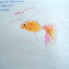 Порошина Полина, 3,9 лет (Гуанчжоу)
