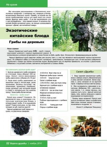 Берега дружбы. Ноябрь 2010